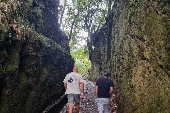 Scenic Hiking and Rum Tasting Experience - What the €45.78 price really includes