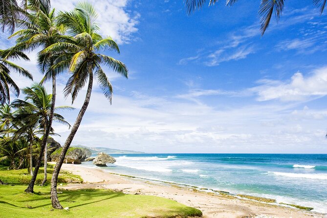 Small-Group Story of Rum Tour in its Birthplace of Barbados - Transport, timing, and the small-group setup