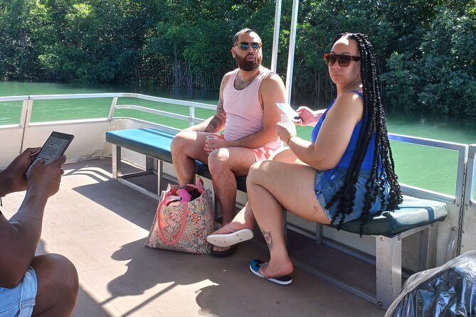 South Coast Tour to YS Falls, Black River Safari and Appleton Rum - Appleton Estate, sugarcane, and Jamaican rum