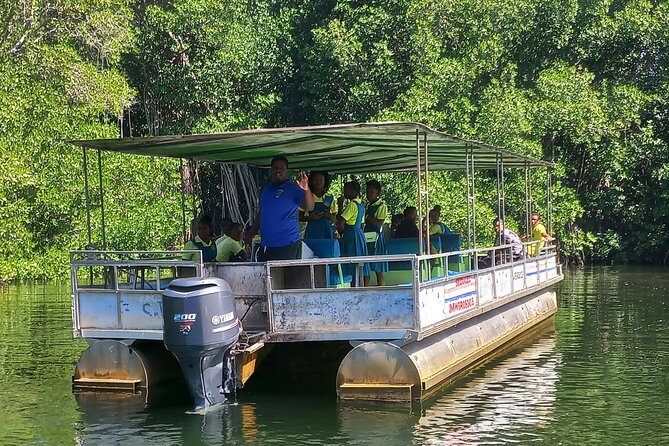 South Coast Tour to YS Falls, Black River Safari and Appleton Rum - What the private vehicle adds