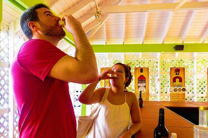 St Lucia Rum Distillery Tour & Mineral Bath Excursion - Sulphur Springs and the black-water mineral baths