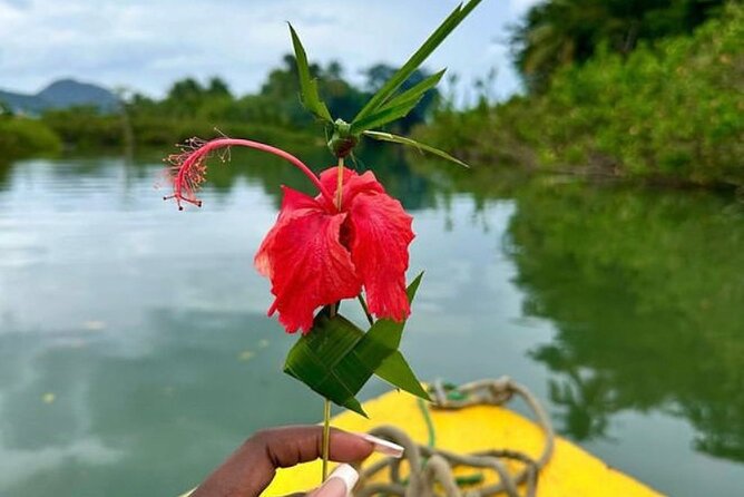 St Lucia Treasures - (Chocolates Rum and Rafting) - Bamboo rafting on the Roseau River is the highlight