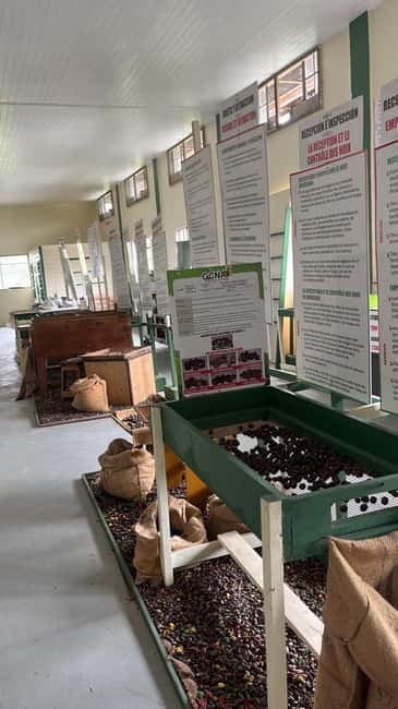 Taste & Explore Grenada: Rum, Chocolate & Spice Journey - Demel’s driving and flexibility shape the day