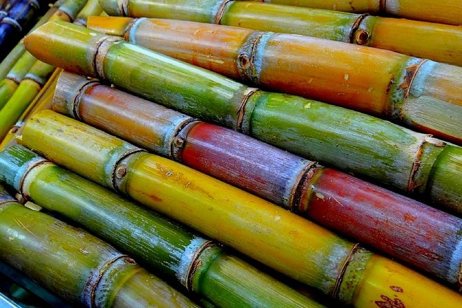 Taste of Grenada: Rum Hopping & Lunch - The House of Chocolate adds a sweeter side