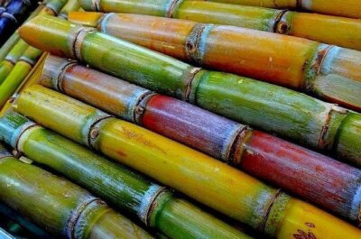 Taste of Grenada: Rum Hopping & Lunch