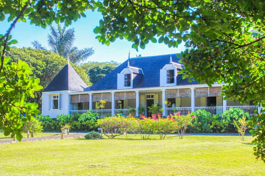 Tea, Rum & Vanilla Route - Why this route gives you more than a tasting tour