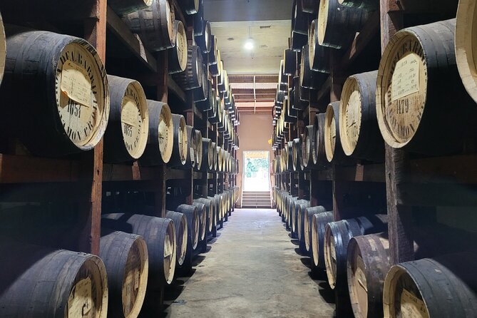 The Barrilito Rum Factory Experience Transportation Included - Key points to know before you book