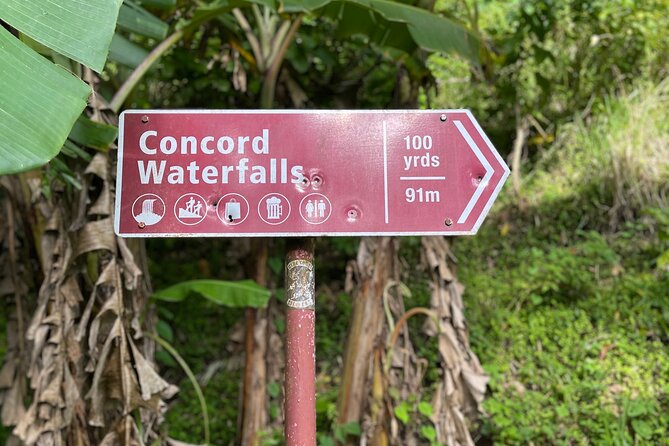 West Coast: Rum Distillery, Concord waterfall, Nutmeg processing - A compact way to see Grenada’s west coast