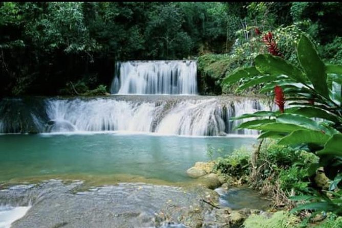 YS Falls and Appleton Estate Private Rum Tour - Timing, weather, and cancellation advice