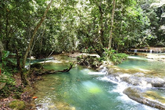 YS Falls and Appleton Estate Private Rum Tour - My verdict: book it if the road is worth the reward