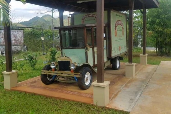 YS Falls and Appleton Estate Private Rum Tour - The south coast drive from Montego Bay