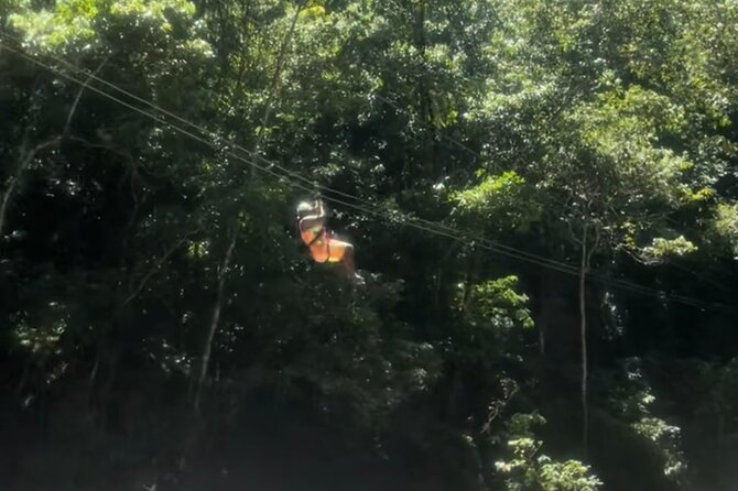 YS Falls, Black River Safari, Appleton Rum Tour OR Pelican Bar (Choose Up to 3) - Floyd’s Pelican Bar: a boat ride to a very unusual stop