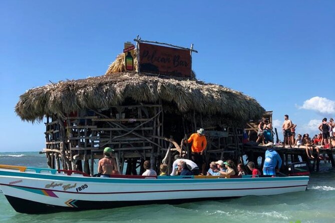 YS Falls, Black River Safari, Appleton Rum Tour OR Pelican Bar (Choose Up to 3) - What your $195 really buys